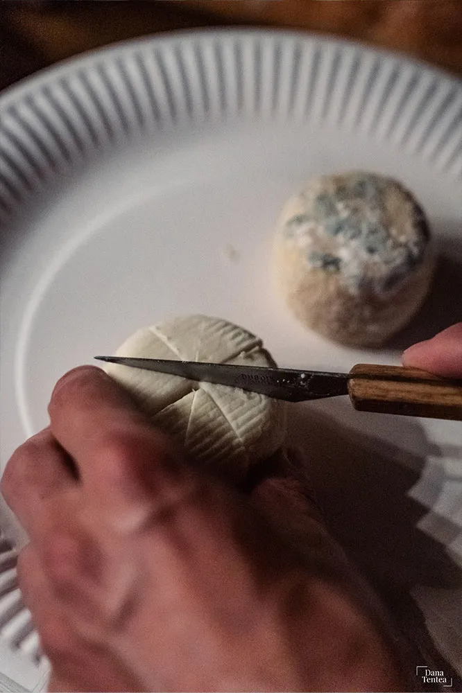 chavignol-chevre-vin-sancerre