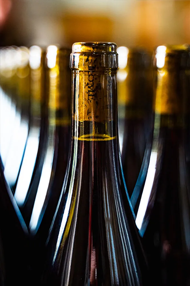 Vin-sancerre-rouge-rome