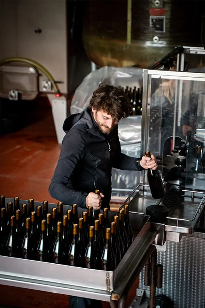 vin-sancerre-etiquettage